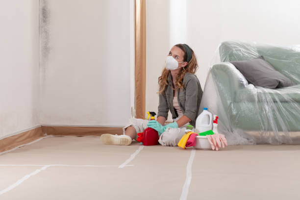 Reliable Mold Inspection And Testing contractor in Henderson, CO by 24 Hour Mold Removal