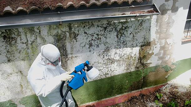 Top rated local Mold Inspection And Testing specialists in Henderson, CO